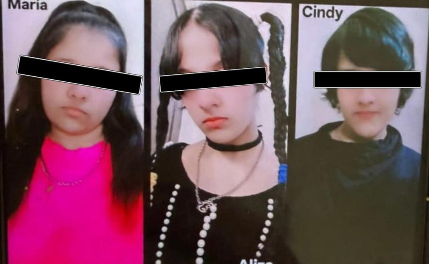 Ghaziabad Tragedy: Sisters Obsessed with Korean Culture Had Social Media Following